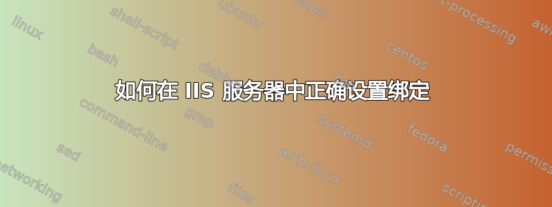 如何在 IIS 服务器中正确设置绑定