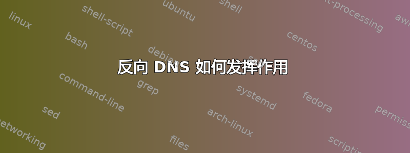 反向 DNS 如何发挥作用