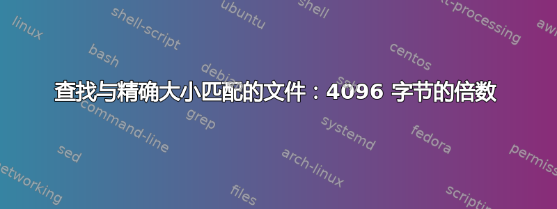 查找与精确大小匹配的文件：4096 字节的倍数