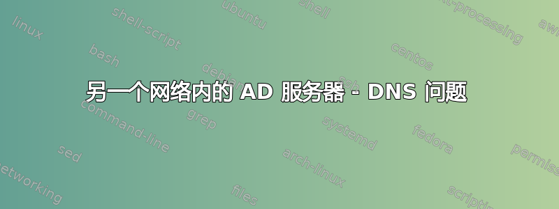 另一个网络内的 AD 服务器 - DNS 问题