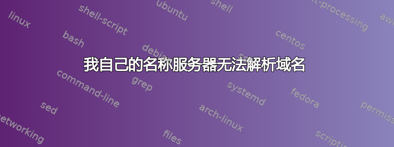 我自己的名称服务器无法解析域名