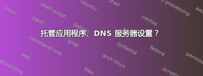 托管应用程序、DNS 服务器设置？