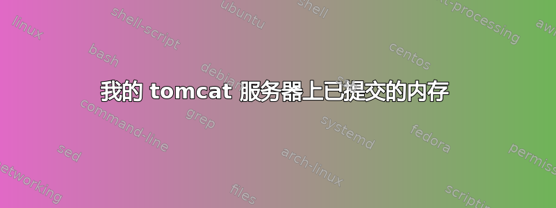 我的 tomcat 服务器上已提交的内存