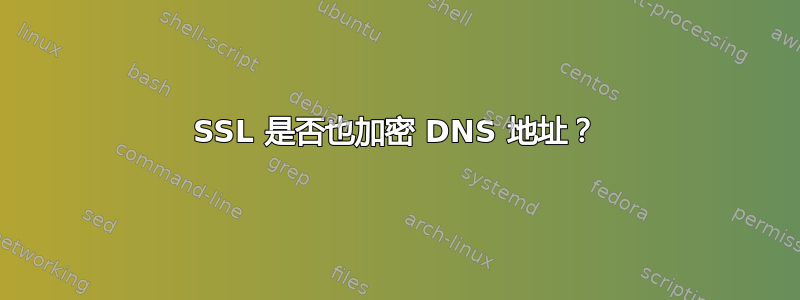 SSL 是否也加密 DNS 地址？