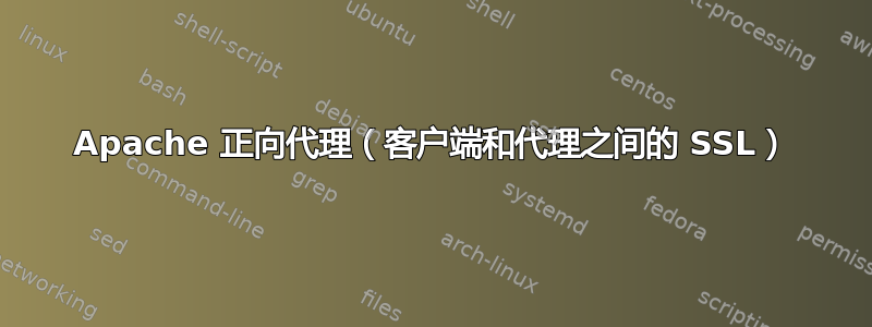 Apache 正向代理（客户端和代理之间的 SSL）