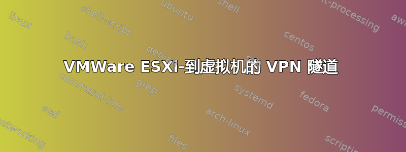 VMWare ESXi-到虚拟机的 VPN 隧道