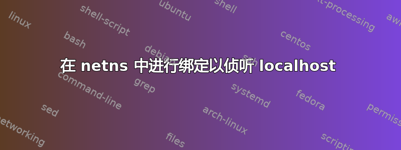 在 netns 中进行绑定以侦听 localhost