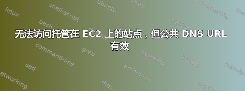 无法访问托管在 EC2 上的站点，但公共 DNS URL 有效 