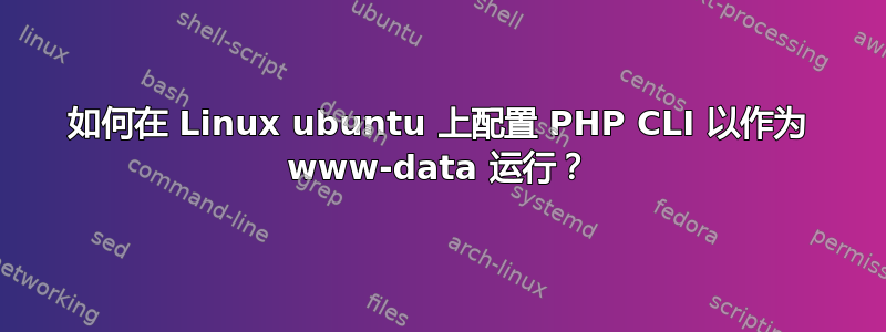 如何在 Linux ubuntu 上配置 PHP CLI 以作为 www-data 运行？