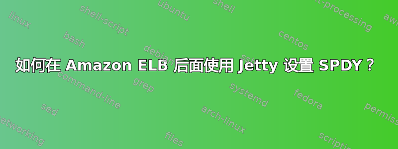 如何在 Amazon ELB 后面使用 Jetty 设置 SPDY？