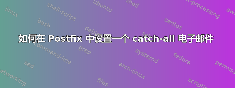 如何在 Postfix 中设置一个 catch-all 电子邮件