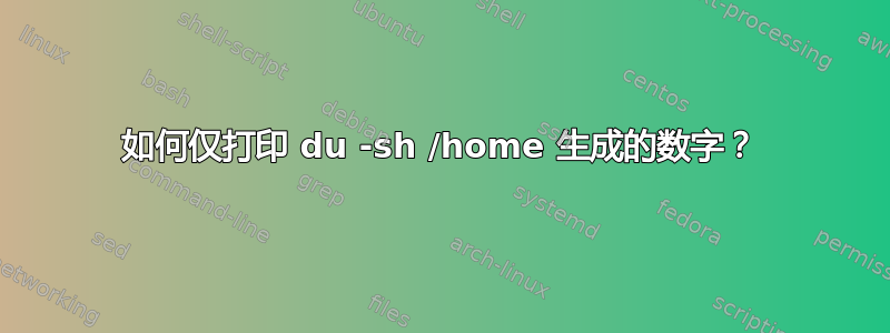 如何仅打印 du -sh /home 生成的数字？