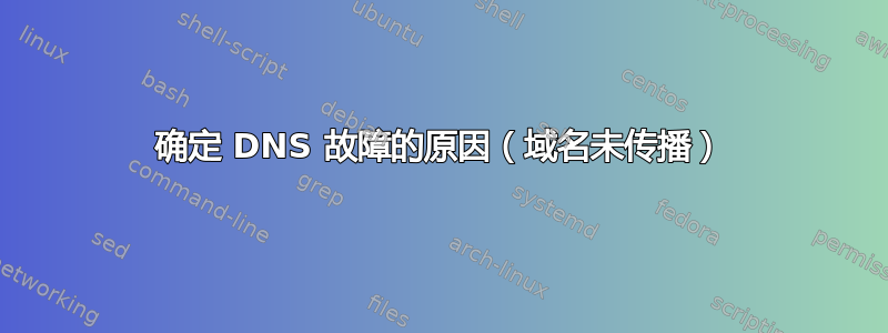 确定 DNS 故障的原因（域名未传播）