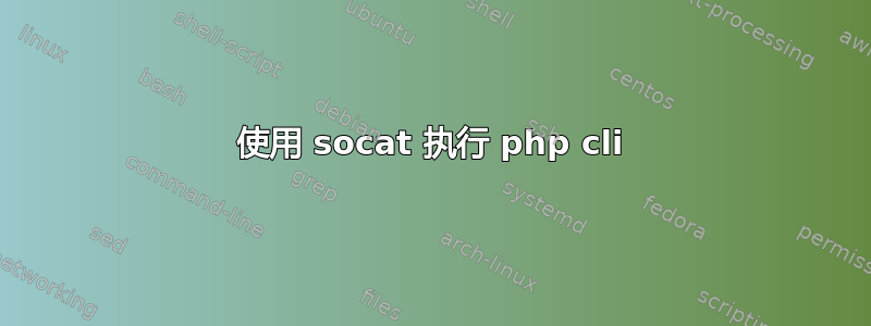 使用 socat 执行 php cli