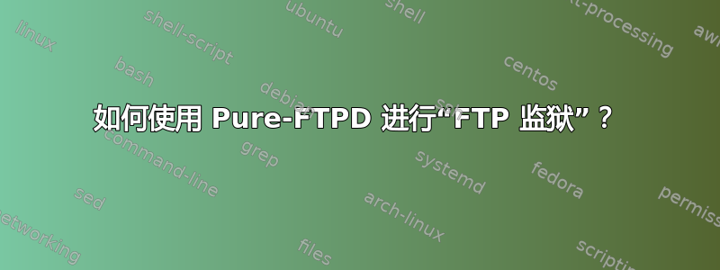 如何使用 Pure-FTPD 进行“FTP 监狱”？