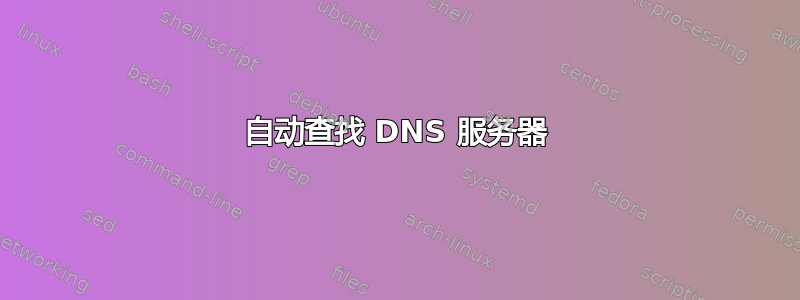 自动查找 DNS 服务器