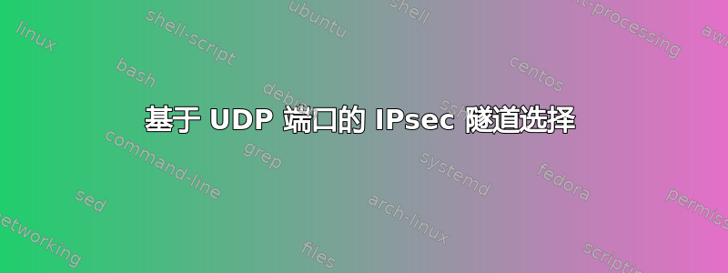 基于 UDP 端口的 IPsec 隧道选择