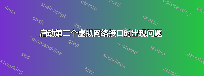 启动第二个虚拟网络接口时出现问题