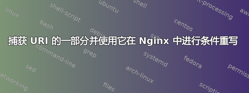 捕获 URI 的一部分并使用它在 Nginx 中进行条件重写