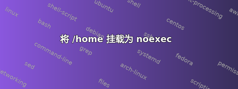 将 /home 挂载为 noexec 