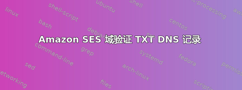 Amazon SES 域验证 TXT DNS 记录