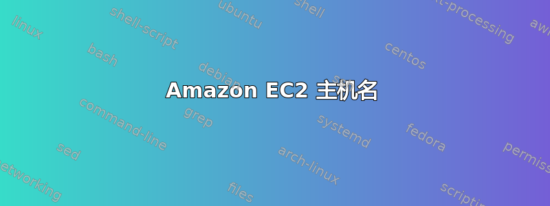 Amazon EC2 主机名