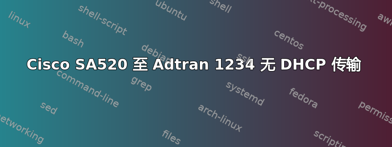 Cisco SA520 至 Adtran 1234 无 DHCP 传输