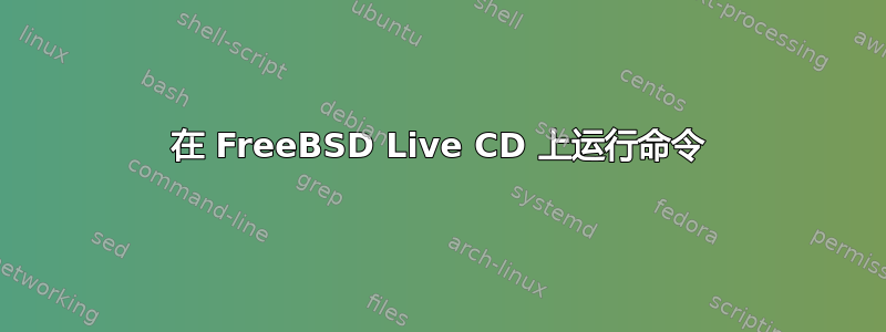 在 FreeBSD Live CD 上运行命令