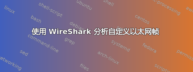 使用 WireShark 分析自定义以太网帧