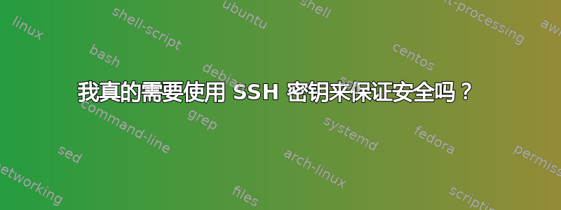 我真的需要使用 SSH 密钥来保证安全吗？