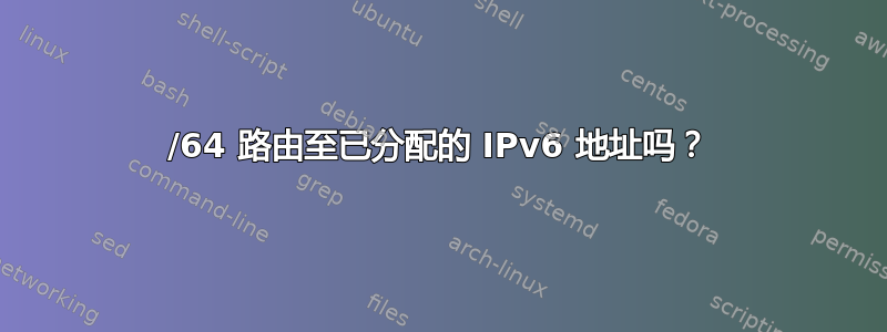 /64 路由至已分配的 IPv6 地址吗？