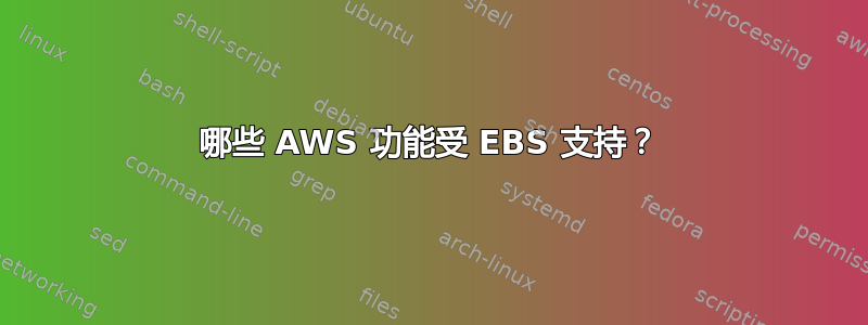 哪些 AWS 功能受 EBS 支持？