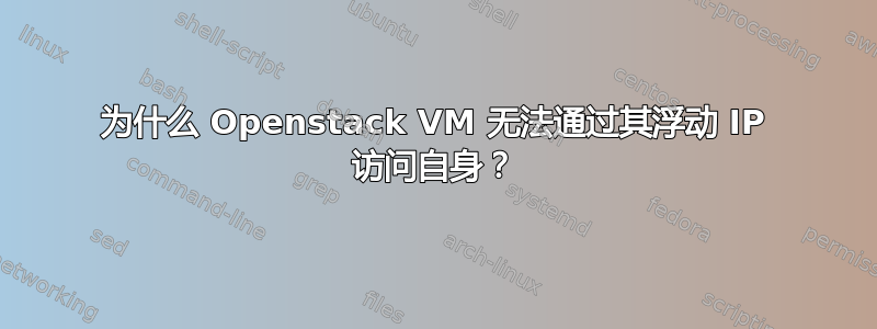 为什么 Openstack VM 无法通过其浮动 IP 访问自身？