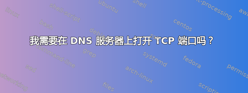 我需要在 DNS 服务器上打开 TCP 端口吗？