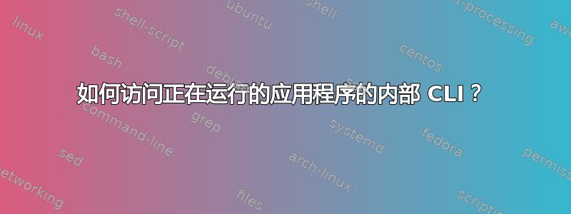 如何访问正在运行的应用程序的内部 CLI？