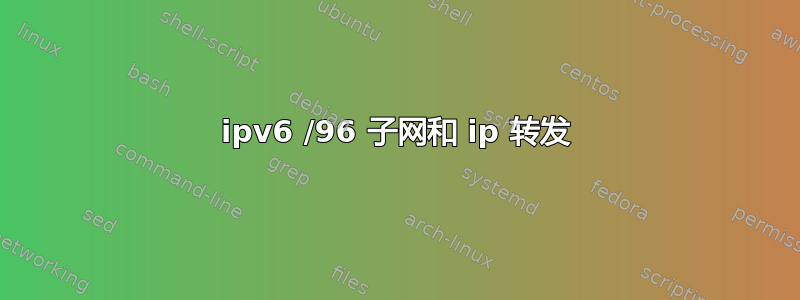 ipv6 /96 子网和 ip 转发