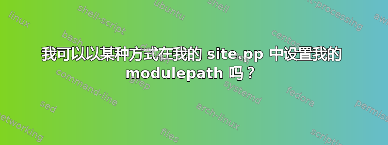 我可以以某种方式在我的 site.pp 中设置我的 modulepath 吗？