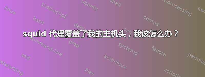 squid 代理覆盖了我的主机头，我该怎么办？