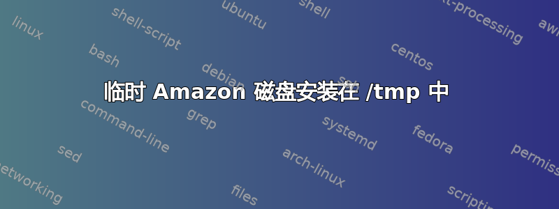 临时 Amazon 磁盘安装在 /tmp 中