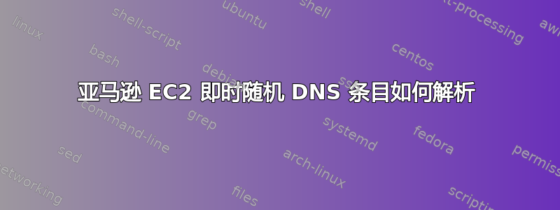 亚马逊 EC2 即时随机 DNS 条目如何解析