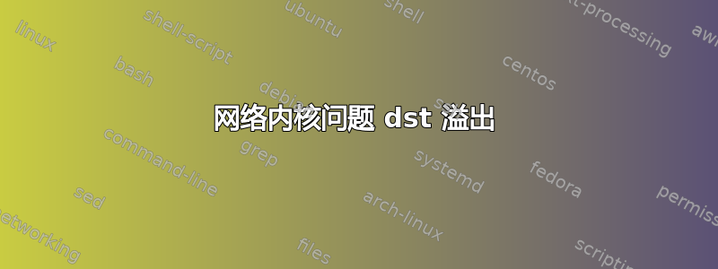 网络内核问题 dst 溢出