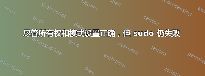 尽管所有权和模式设置正确，但 sudo 仍失败