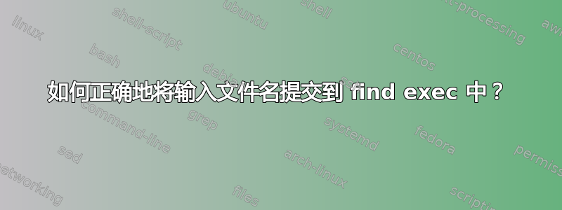 如何正确地将输入文件名提交到 find exec 中？