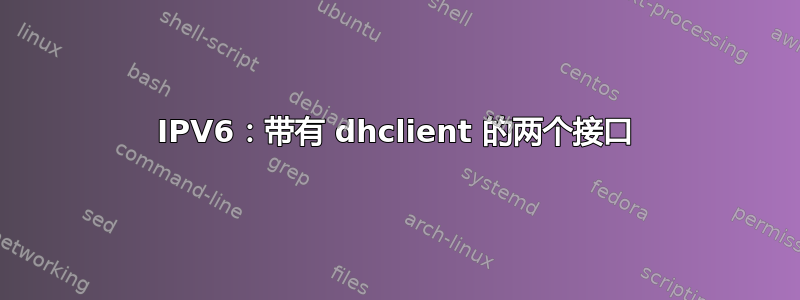 IPV6：带有 dhclient 的两个接口