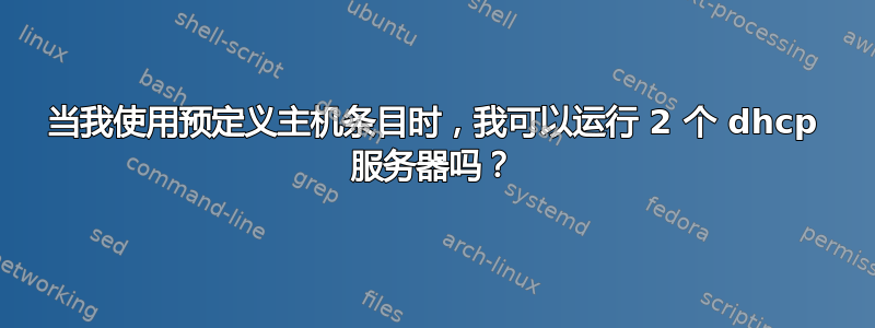 当我使用预定义主机条目时，我可以运行 2 个 dhcp 服务器吗？