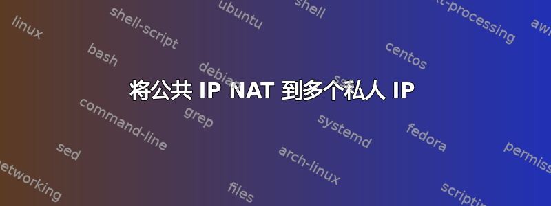 将公共 IP NAT 到多个私人 IP