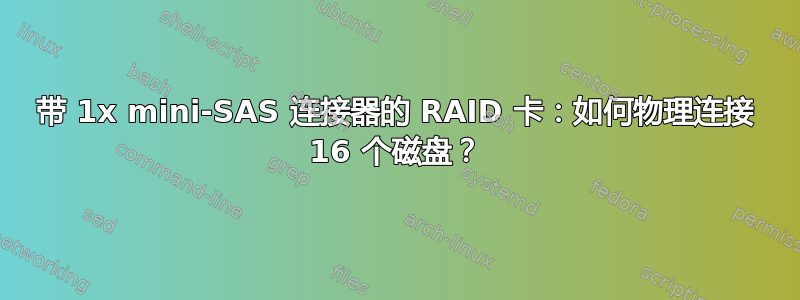 带 1x mini-SAS 连接器的 RAID 卡：如何物理连接 16 个磁盘？