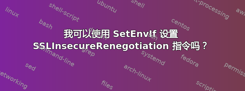 我可以使用 SetEnvIf 设置 SSLInsecureRenegotiation 指令吗？