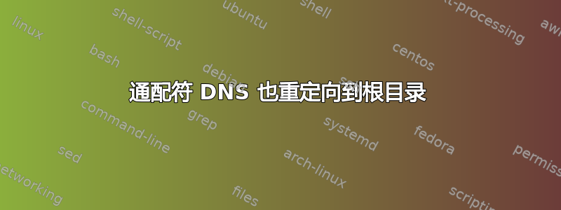 通配符 DNS 也重定向到根目录