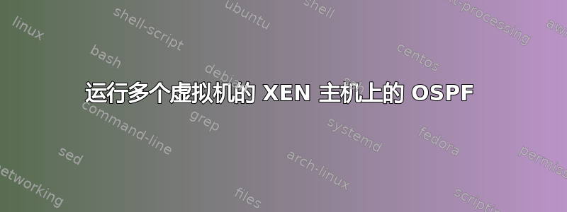 运行多个虚拟机的 XEN 主机上的 OSPF